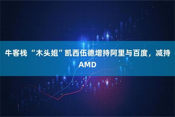 牛客栈 “木头姐”凯西伍德增持阿里与百度，减持AMD
