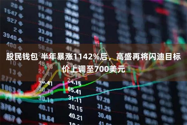 股民钱包 半年暴涨1142%后，高盛再将闪迪目标价上调至700美元